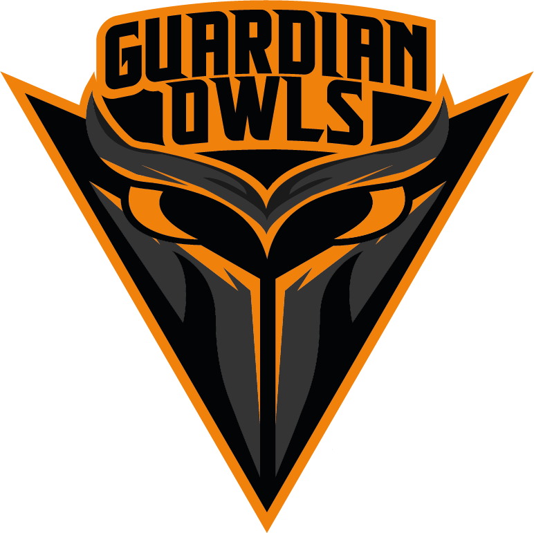 Guardian Owls