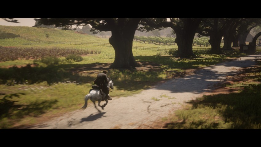 rdr image review24
