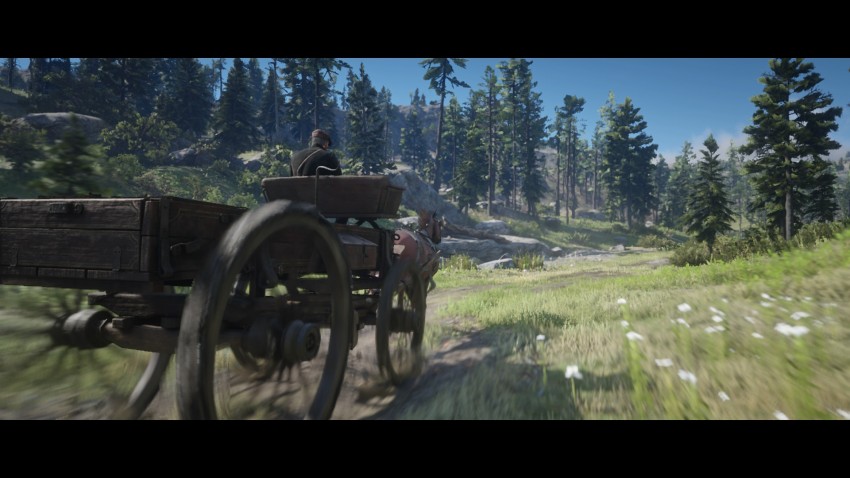 rdr image review33