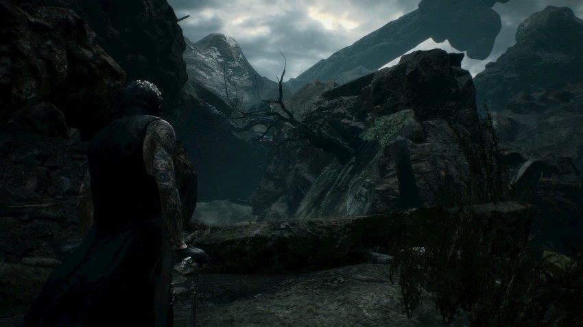 Devil May Cry 5 V