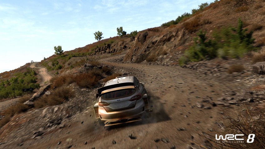 WRC 8 sterrato con logo