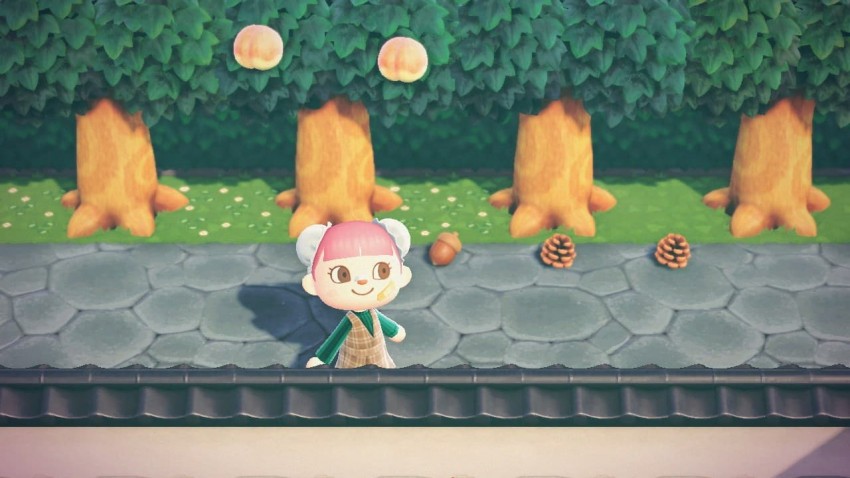 AnimalCrossing pigne e ghiande materiali