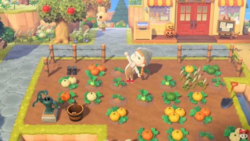 Animal Crossing Halloween zucche