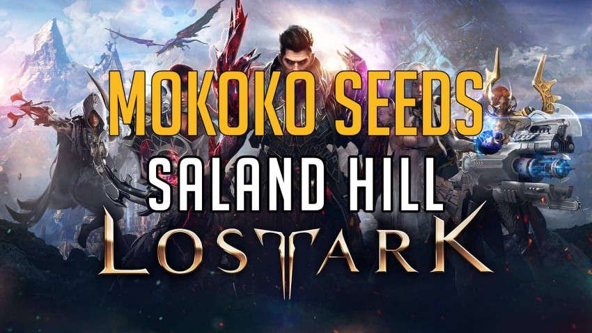 Lost Ark Mokoko Saland Hill cover